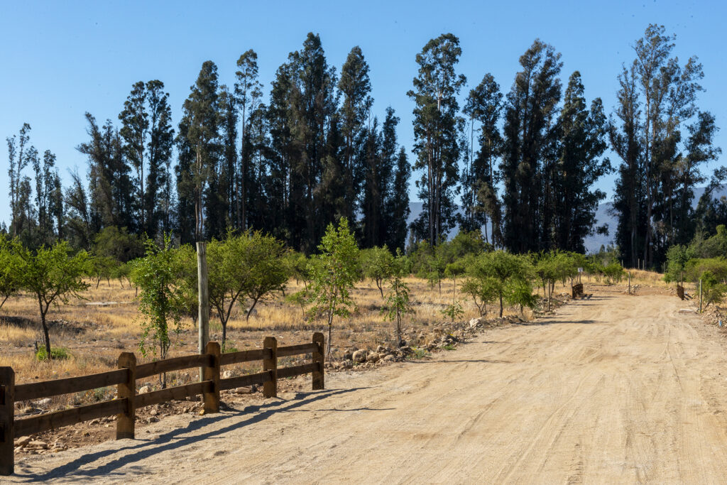 Parcelas Limchame - Aguas Claras - Lliu Lliu